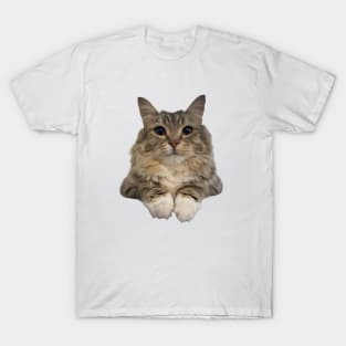 Luna the car T-Shirt